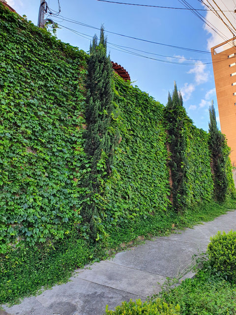 Residencial Humanar - Foto 5