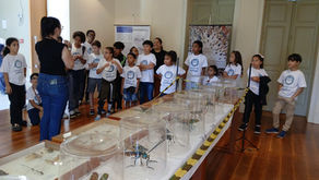 Lar Santa Catarina - Foto 6