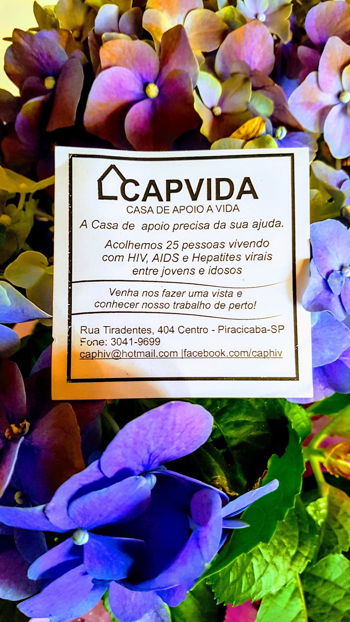CAPVIDA Piracicaba