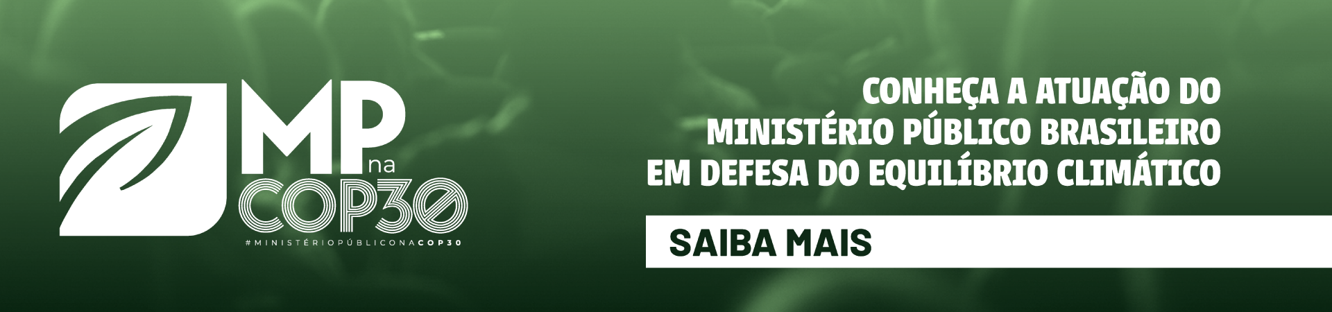 Ministerio Publico de Minas Gerais