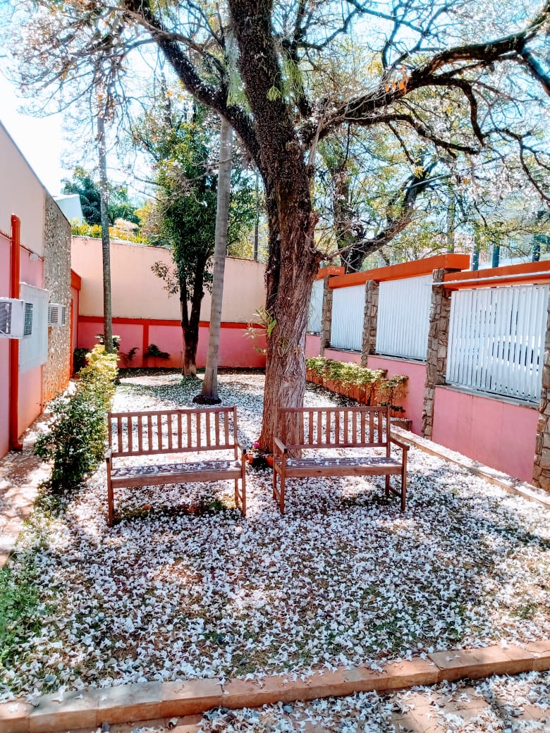 Residência Geriátrica Sol da Toscana - Foto 8
