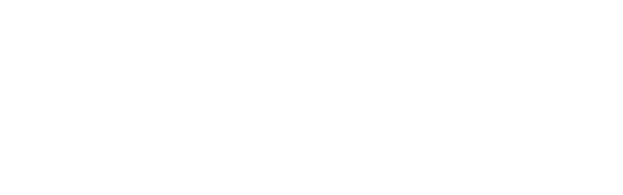Conselho Tutelar De São Fidélis