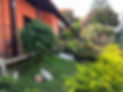 NATI - Núcleo de Atenção à Terceira Idade - Foto 4