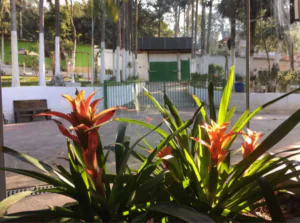 Casa de Repouso Lar Odélia - Foto 9