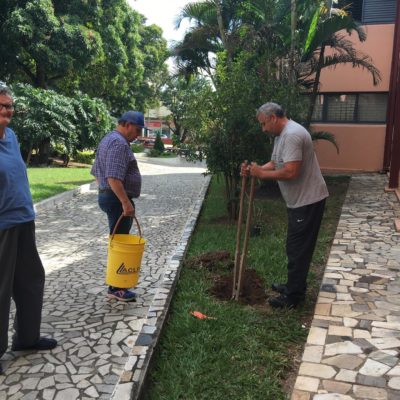 APEX - Associação de Proteção ao Excepcional - Foto 7