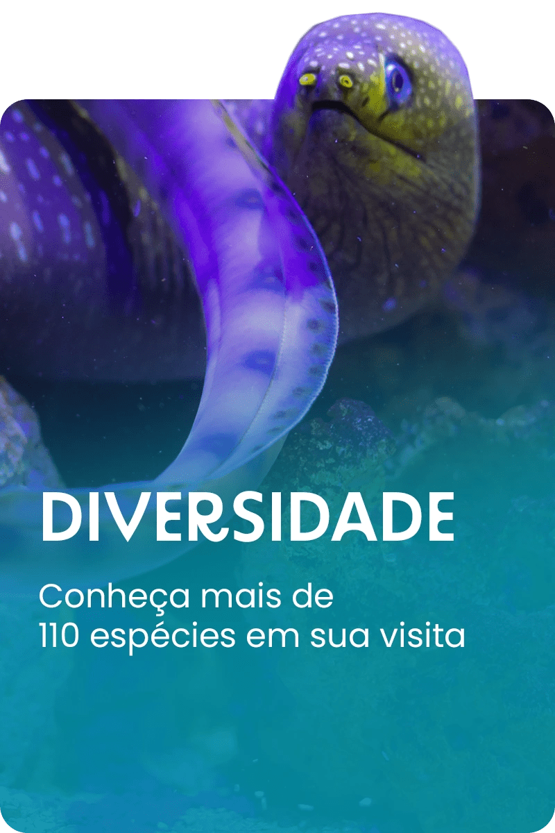 Aquário de Ubatuba - Foto 6