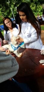 Projeta Cursos - Hortolândia - Foto 3