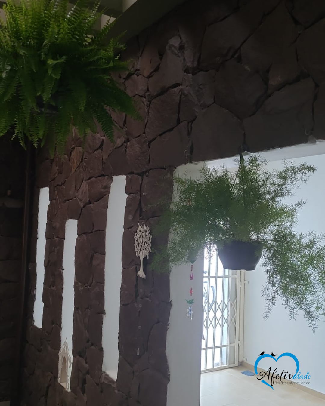 Afetividade Residencial para Idosos - Foto 8