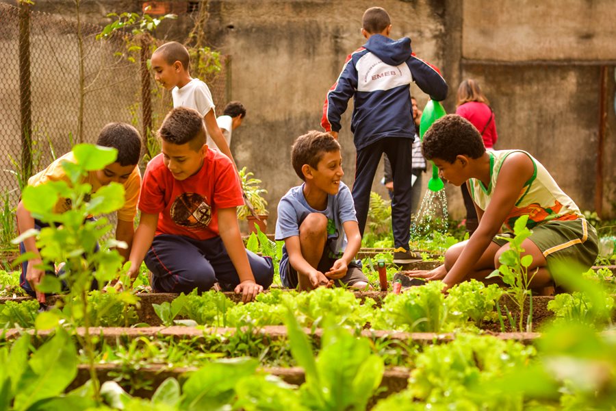 Aldeias Infantis SOS Brasil - Limeira - Foto 5