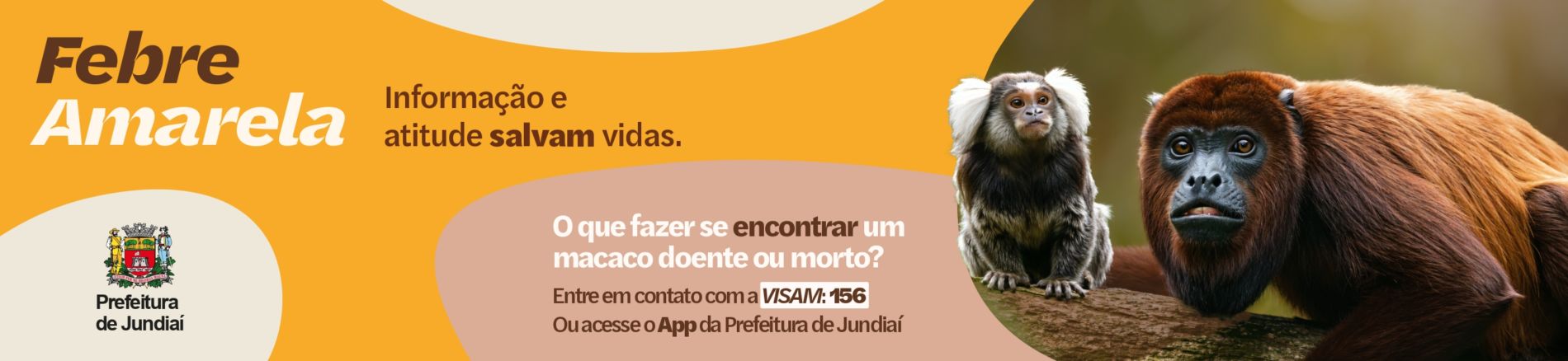 Fundo Social de Solidariedade de Jundiaí - Foto 1