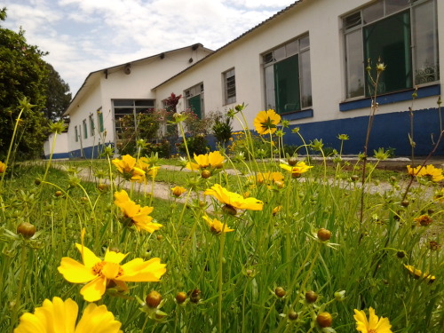 Instituição Espiritualista Casa da Esperança - Foto 3