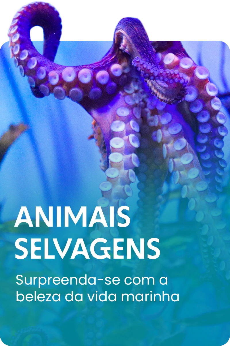 Aquário de Ubatuba - Foto 3