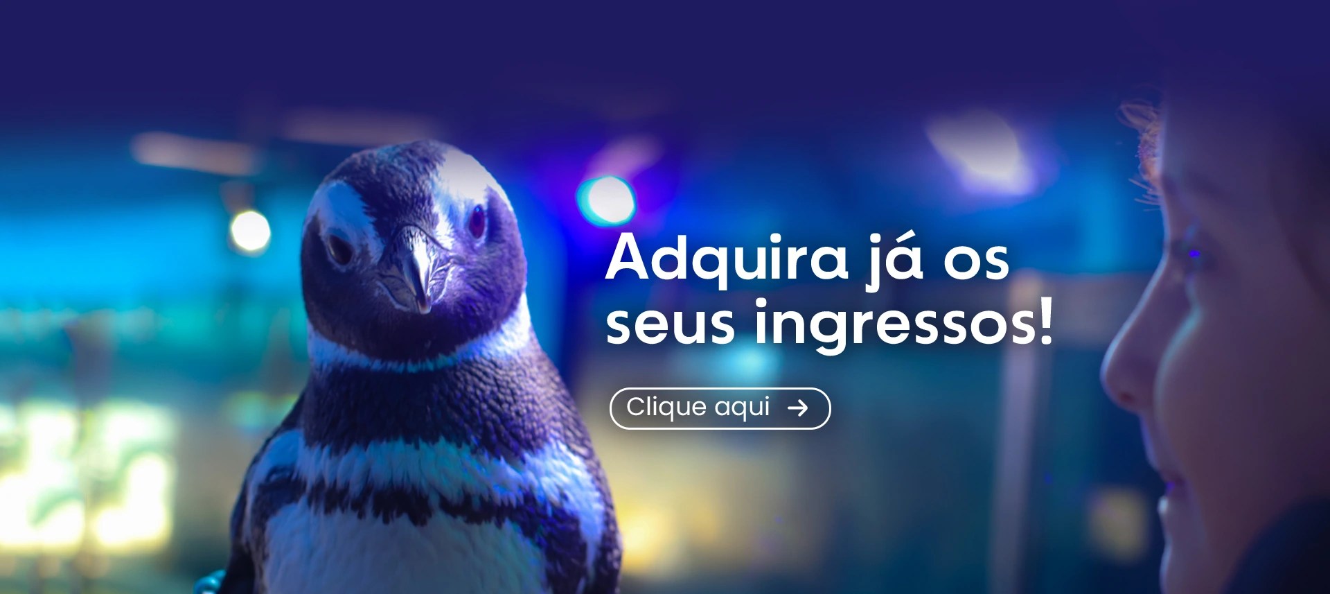 Aquário de Ubatuba - Foto 2