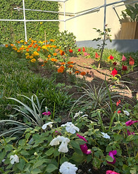Bona Vita Residencial para Senhoras – Casa de Repouso em Curitiba (Portão) - Foto 3