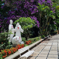 Instituto Brasileiro Filhas de São Camilo - Foto 9