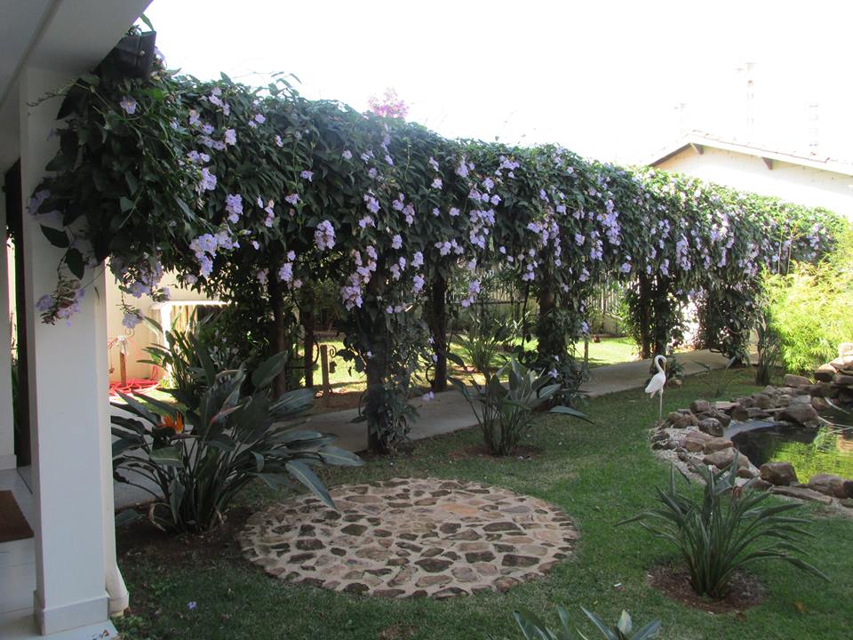 Lar de Velhos e Espaço Dia Emmanuel - Foto 1
