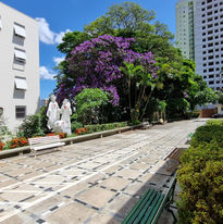 Instituto Brasileiro Filhas de São Camilo - Foto 8