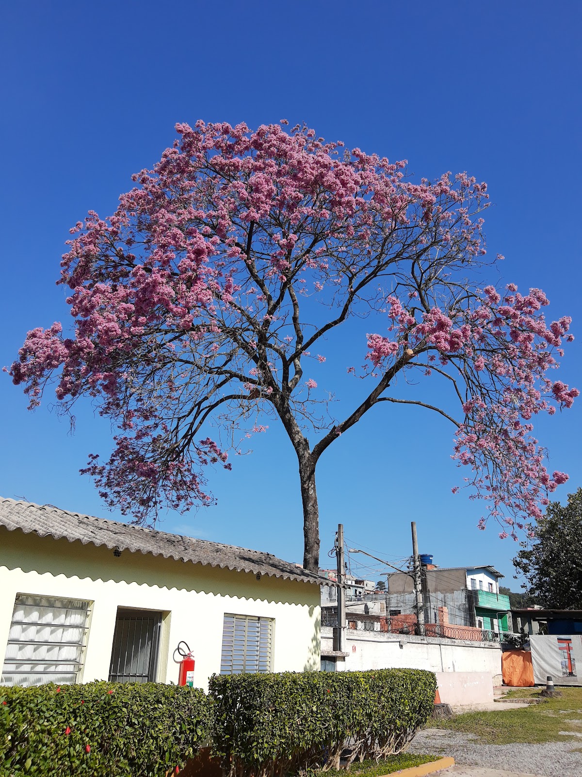 CEPIM Santa Terezinha - Casa dos Velhinhos