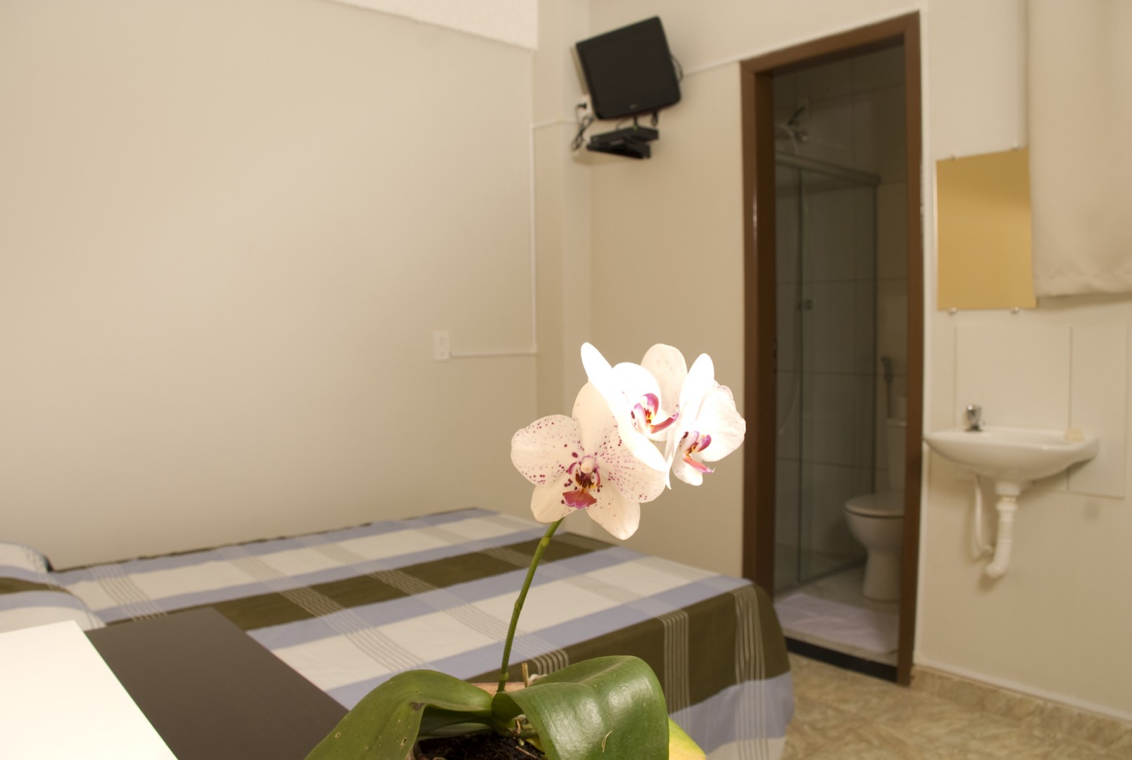 Orquídea Hotel - Foto 4