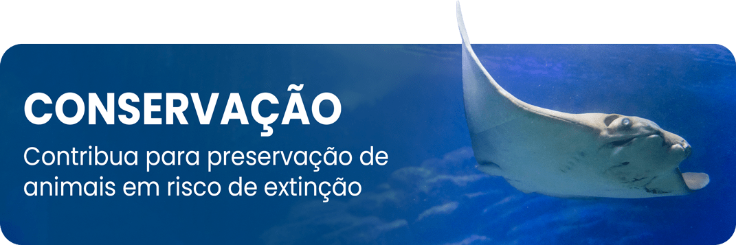 Aquário de Ubatuba - Foto 8
