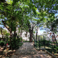 Instituto Brasileiro Filhas de São Camilo - Foto 7