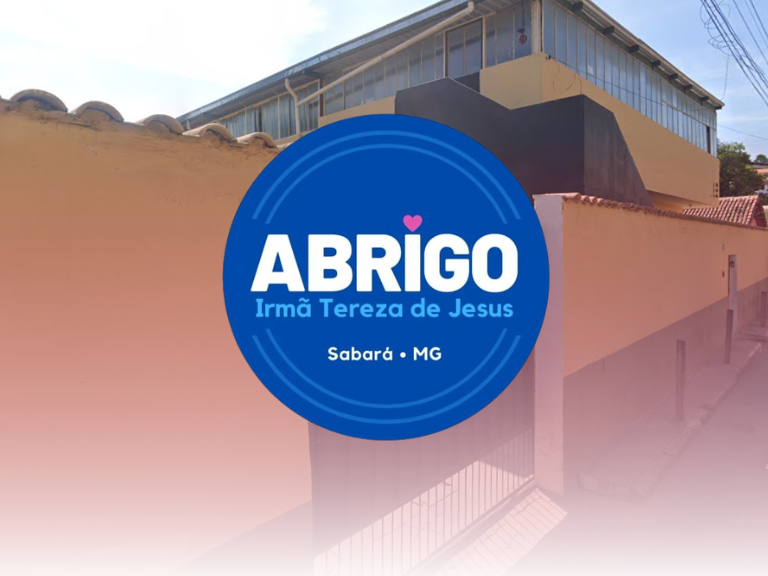 Instituto De Promoção Da Assistência Social. - Foto 4