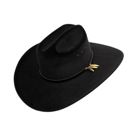 Casa de Couros Santo Antônio - Artigos em Couro- Selaria em Geral-Chapeus-Botas e Botinas-Cintos-Fivelas-Moda Country - Foto 3