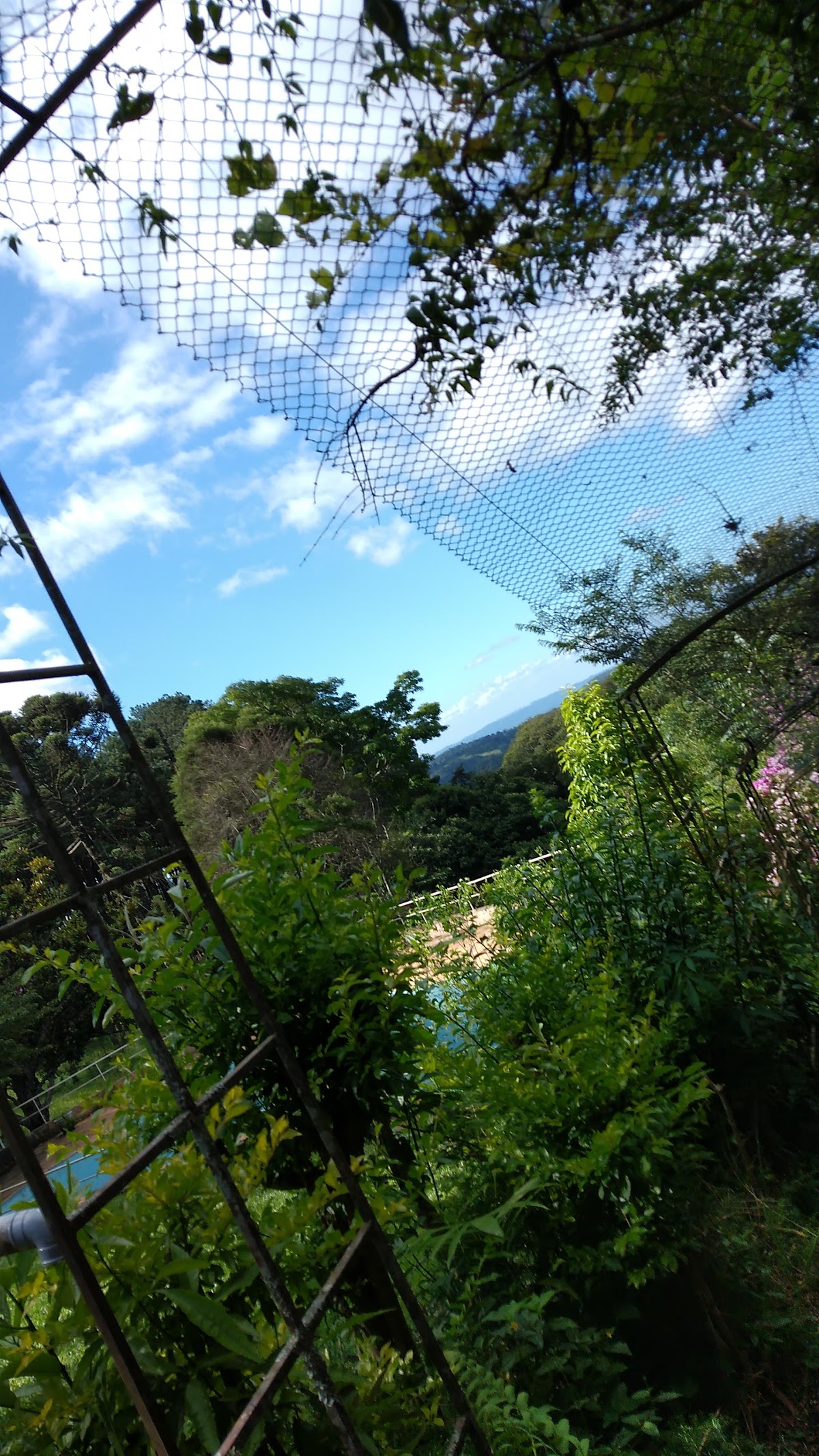 Residencia sakura