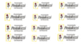 Sociedade Pestalozzi de Resende