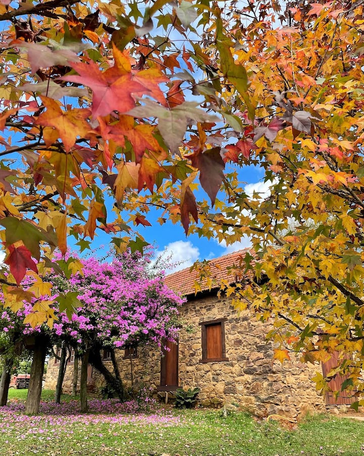 Pousada Casa Cercato - Foto 4