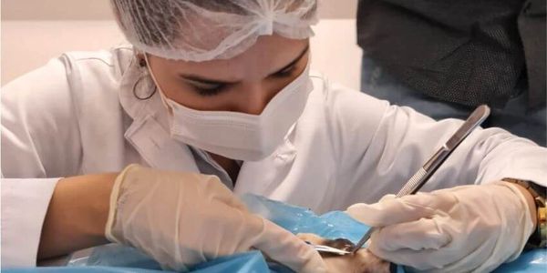 Ideal Cursos Treinamentos