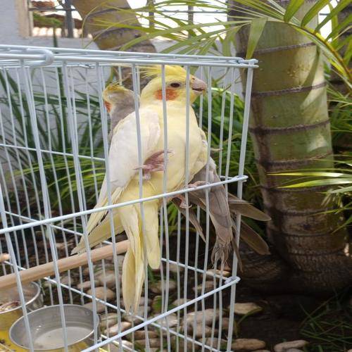 VIDA SAUDÁVEL | LAR DE IDOSOS, CASA DE REPOUSO E CUIDADOS EM BELO HORIZONTE - Foto 6