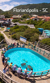 Fundação Projeto Tamar - Ubatuba - Foto 6