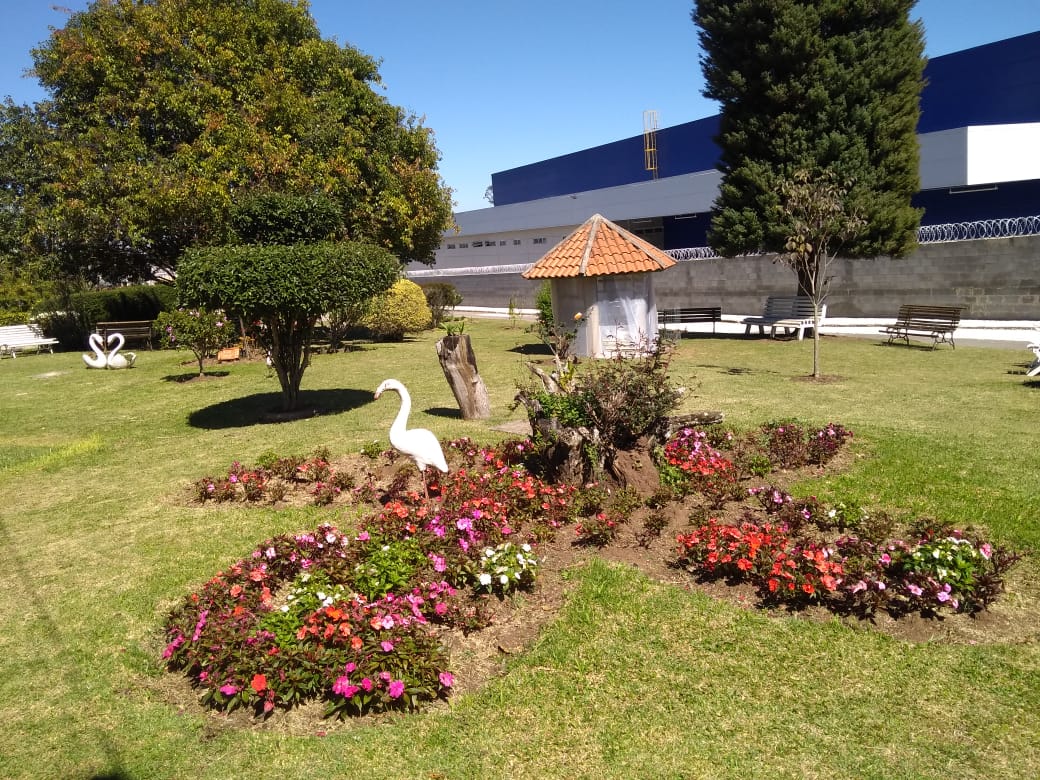 Lar Adelaide Weiss Scarpa - Copiosa Redenção - Foto 3
