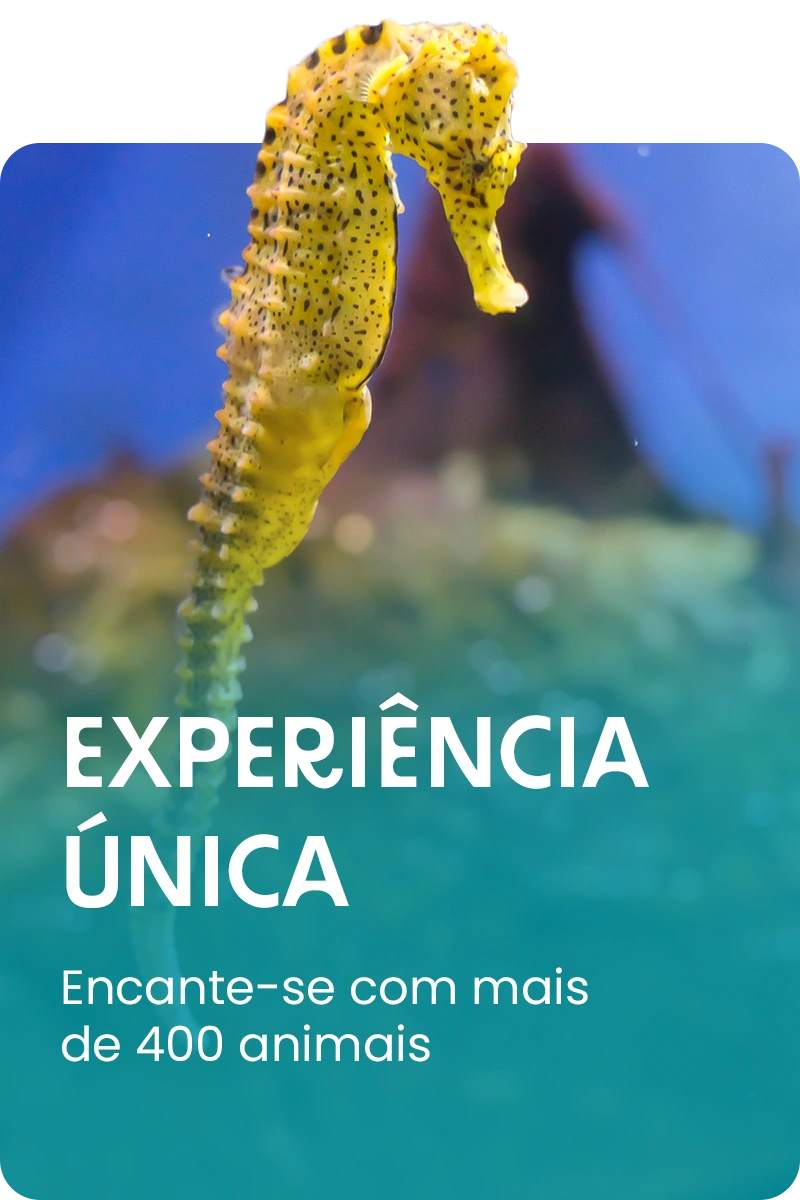Aquário de Ubatuba