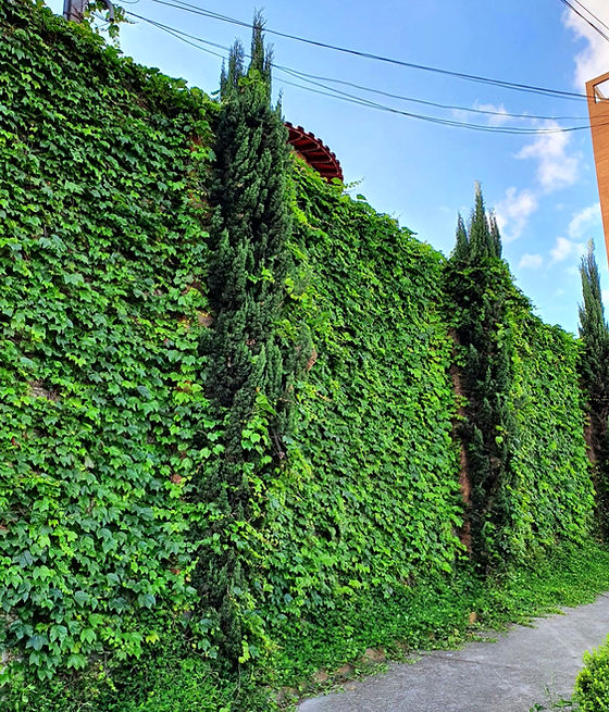 Residencial Humanar - Foto 1