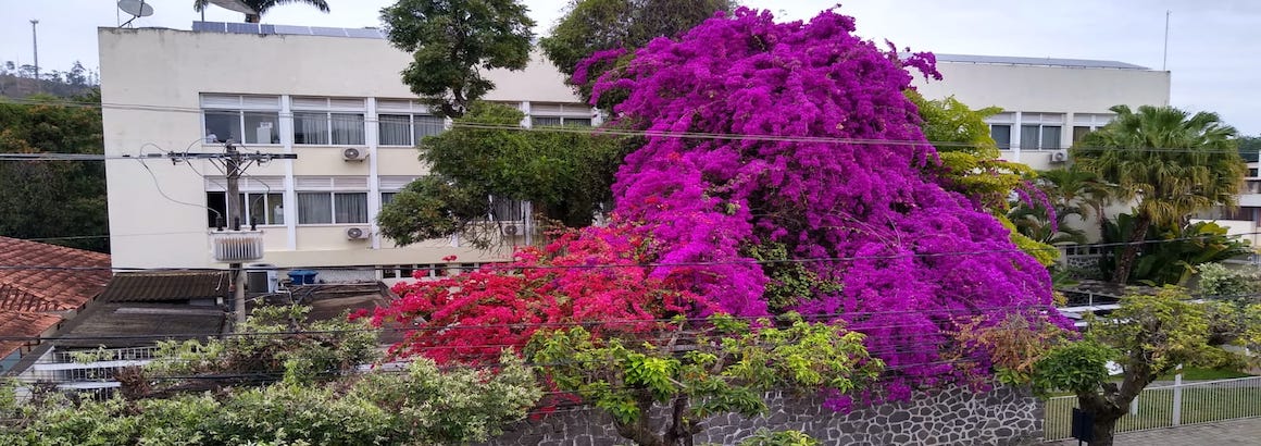Hotel Cataguases Sociedade - Foto 5
