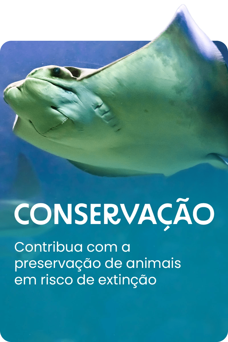 Aquário de Ubatuba - Foto 4
