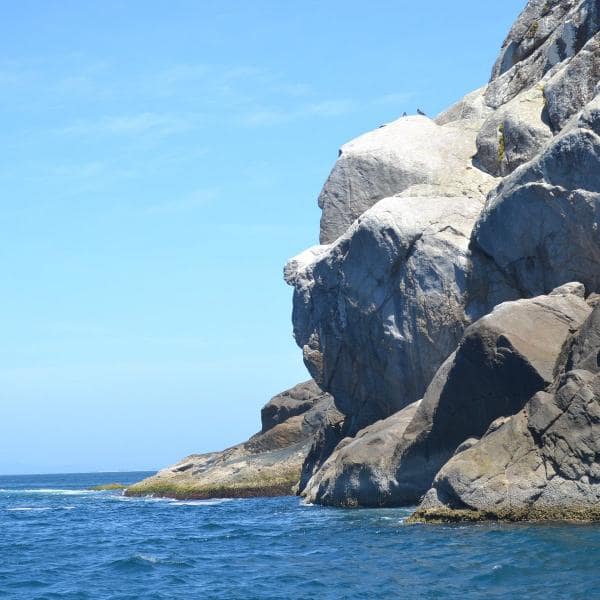 Passeio de Barco Arraial do Cabo - Primeira Classe Tour - Foto 7