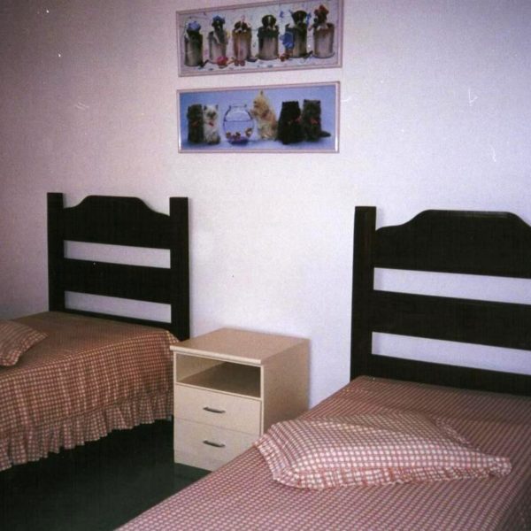 APEX - Associação de Proteção ao Excepcional - Foto 3