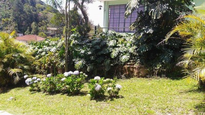Reviver - Casa de Repouso - Foto 3