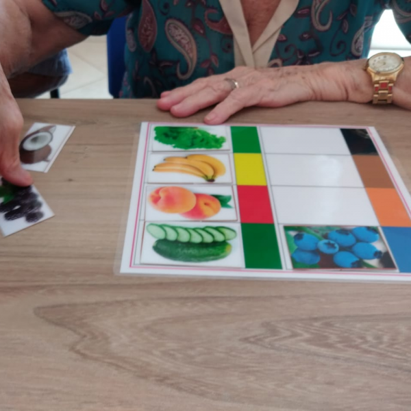 Residencial e Centro dia para Idosos Florescer