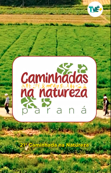 Centro POP - CENTRO DE REFERÊNCIA ESPECIALIZADO PARA POPULAÇÃO EM SITUAÇÃO DE RUA - Foto 5