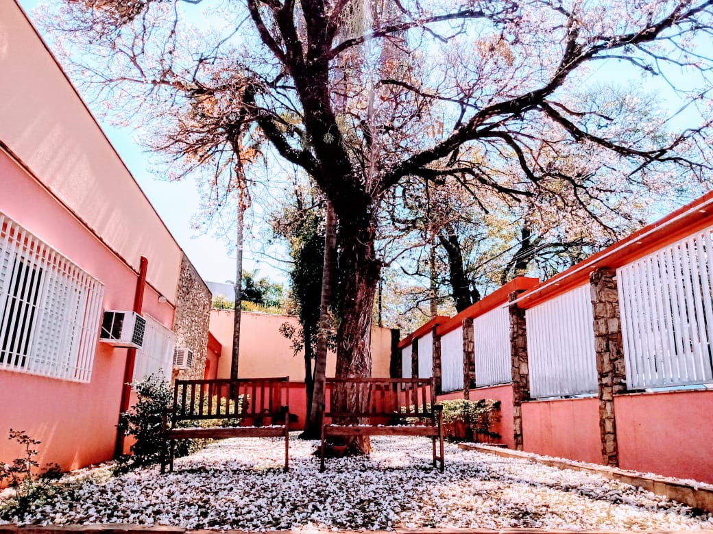 Residência Geriátrica Sol da Toscana - Foto 9