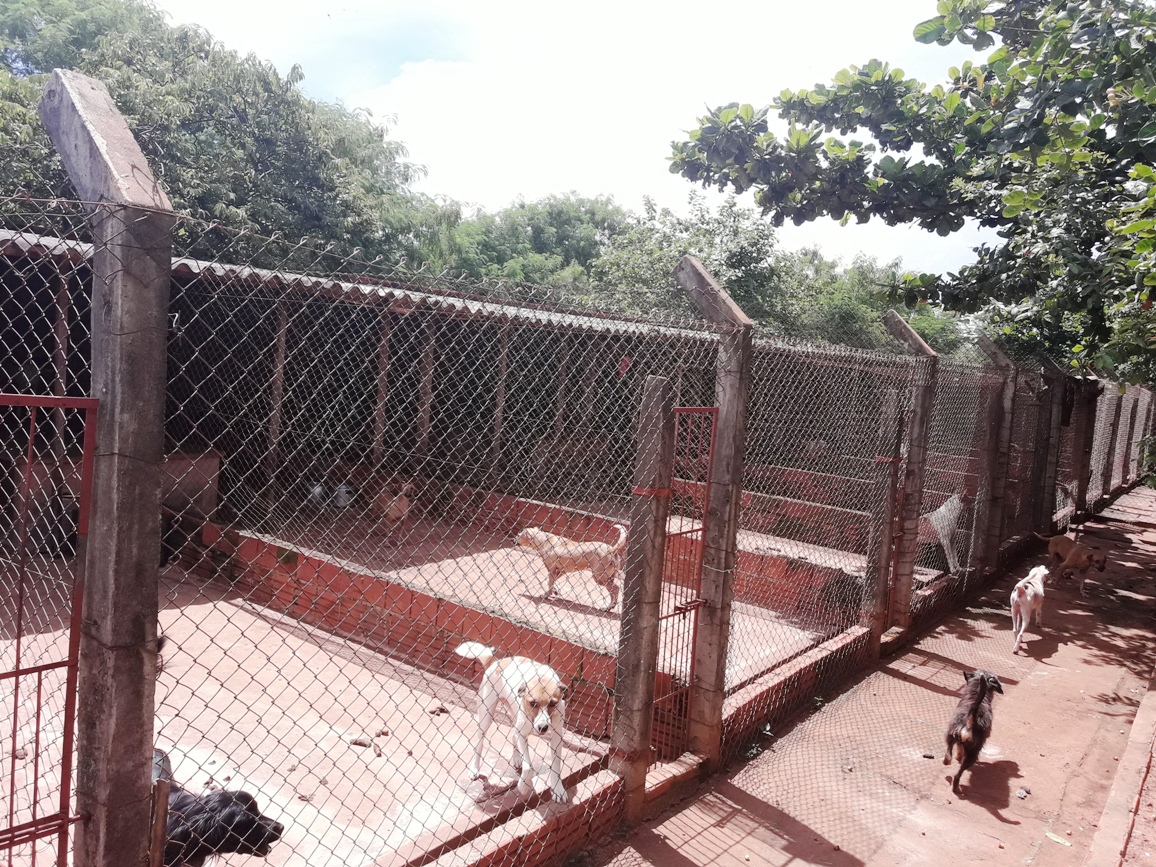 ADAO - Associação Defensora dos Animais de Ourinhos