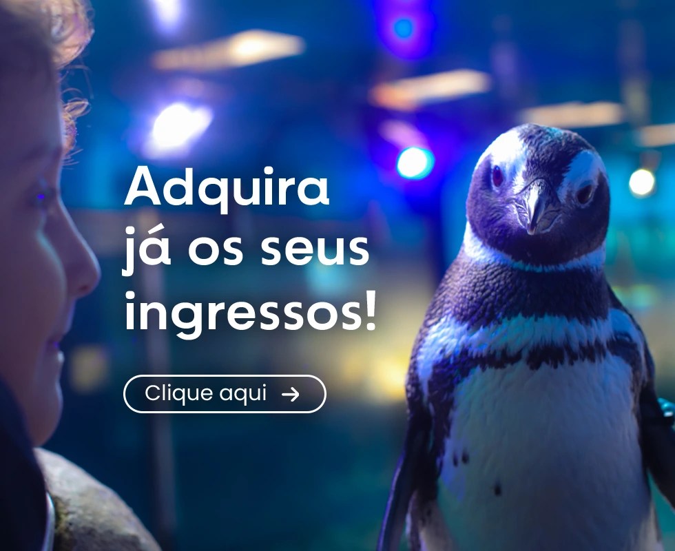 Aquário de Ubatuba - Foto 1